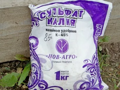 Ingrasaminte petunii - dressing de culori (îngrășământ) Ingrasaminte petunii - flori de fertilizare