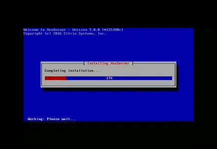 Instalarea XenServer 7, losst