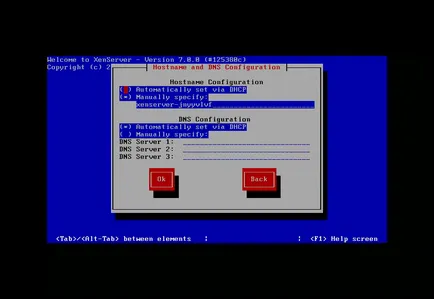 Instalarea XenServer 7, losst