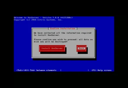 Instalarea XenServer 7, losst