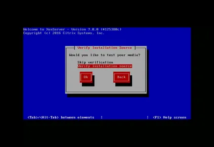 Instalarea XenServer 7, losst