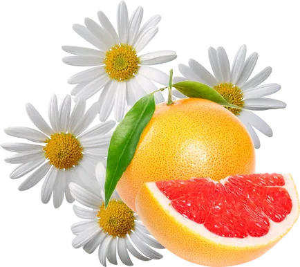 Șampon Hidratant pentru comentarii păr, cele mai bune branduri, un bun remediu pentru umiditate (hidratare sampon recenzie de păr hidratant bun cel mai bun) Șampon Hidratant pentru comentarii păr, cele mai bune branduri, un bun remediu pentru a hidrata