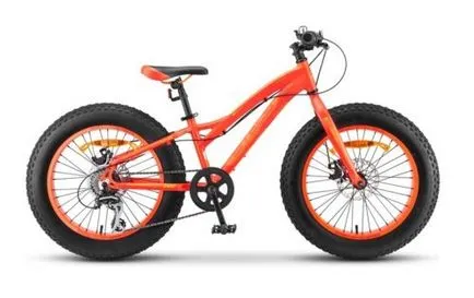 Biciclete Stels comentarii, sfaturi privind alegerea și producător poveste
