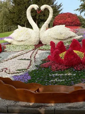 Tipuri și numele de paturi de flori și paturi de flori (cu fotografii) gradina de flori modulare, de frontieră de flori, mixborders, creste