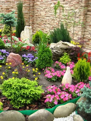 Cultivarea de plantare Rhododendron, îngrijire, transferul și reproducerea, rododendroni fotografie în grădină și în (aterizare) Cultivarea de plantare Rhododendron, îngrijire, transferul și reproducerea, rododendroni fotografie în grădină și în