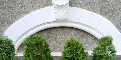 Cultivarea arbuști cum să crească un copac (lemn) Cultivarea arbuști cum să crească un copac