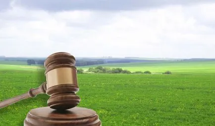 Răscumpărarea de teren din contractul de închiriere în politicile de proprietate, costul