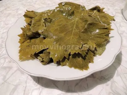 Vine frunze pentru 5 metode Dolma de preparare și coacere (metode) Vine frunze pentru 5 metode Dolma de preparare și de gătit