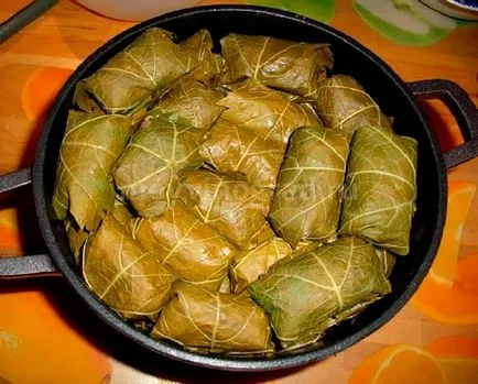 Vine frunze pentru 5 metode Dolma de preparare și coacere (metode) Vine frunze pentru 5 metode Dolma de preparare și de gătit