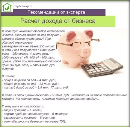 Flori în creștere în seră ca o afacere - modul de a obține o rentabilitate maximă