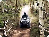 Vei merge pe quad, în orice caz, nu, Dealer ATV
