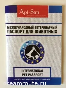 Câini de export în străinătate