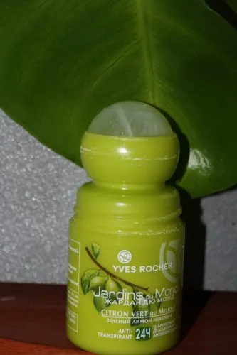 În căutarea unei noi comentarii deodorante perfecte on-