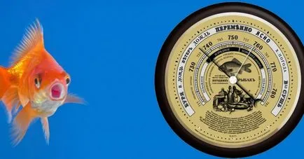 Efectul presiunii atmosferice asupra ronțăit