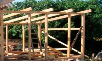 Aviary pentru câini cu propriile lor mâini, o fotografie, modul de a face