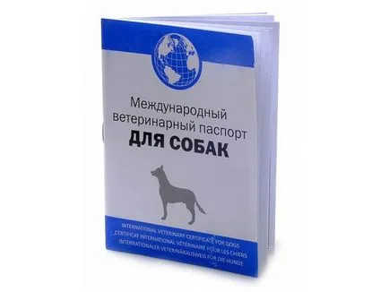 Dog Exportul documentelor și vaccinări în timpul transportului de zbor sau tren