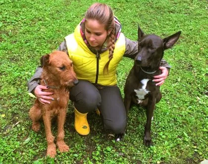 Totul despre câine de fitness - superdog (fitness) Totul despre câine de fitness - superdog