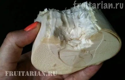 All-totul-totul despre nuci de cocos