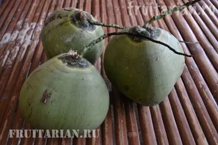 All-totul-totul despre nuci de cocos