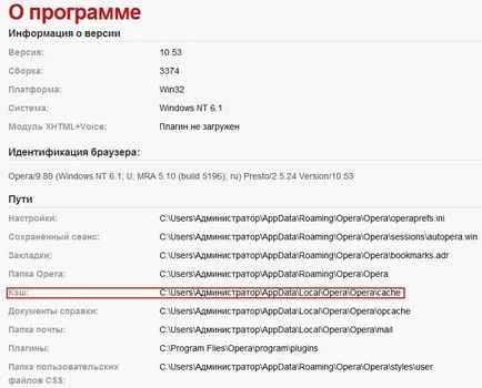 Fișierele Internet temporare, în cazul în care acestea sunt (Internet) Fișierele Internet temporare, în cazul în care acestea sunt