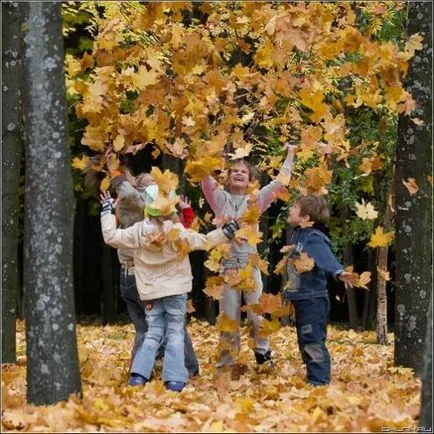 Relația dintre om și natură, o rețea socială de educatori (umane) Relația dintre om și natură, o rețea socială de educatori