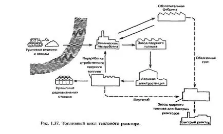 Energia nucleară Cum un reactor nuclear