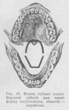 Dentiției, stomatologie protetice
