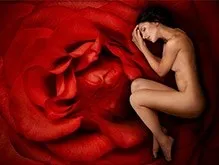 ciclu de sex feminin