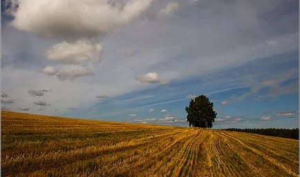 Fătat orizontul ce este și de ce strica imaginea (cu virf) Fătat orizontul ce este și de ce strica imaginea