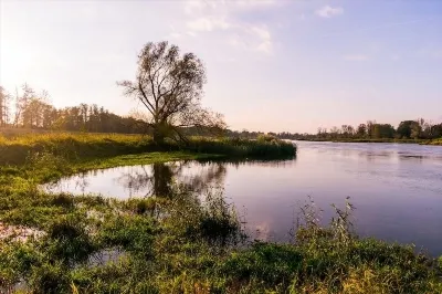 Nume persane și semnificațiile lor