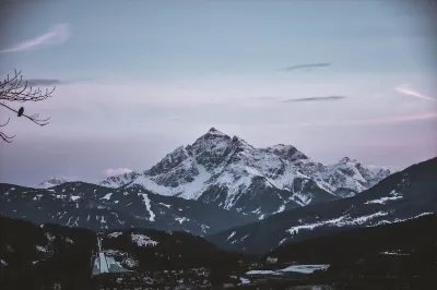 Cum să curățați un guler de blană la domiciliu metode