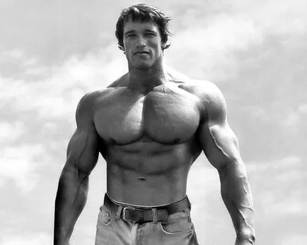 Ceea ce am luat Arnold Ceea ce am luat Arnold