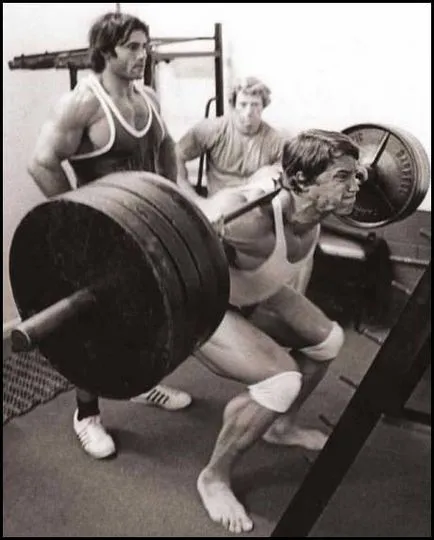 Ceea ce am luat Arnold Ceea ce am luat Arnold