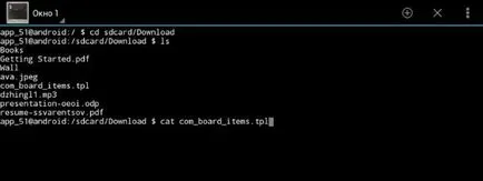 Emulator de terminal pentru care