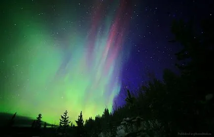 Ce este North Aurora