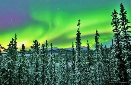Ce este North Aurora