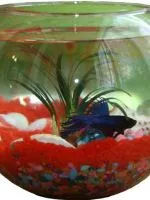 tratamentul discus