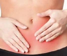 Ceea ce este în partea inferioară a abdomenului Ceea ce este în partea inferioară a abdomenului