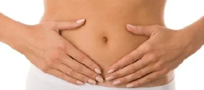 Ceea ce este în partea inferioară a abdomenului Ceea ce este în partea inferioară a abdomenului
