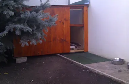 Cum de a face o casă pentru câini Cum de a face o casă pentru câini