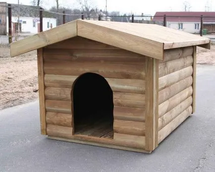 Cum de a face o casă pentru câini Cum de a face o casă pentru câini