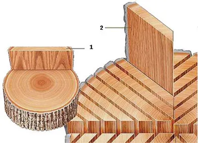 Ceea ce este diferit de parchet laminat