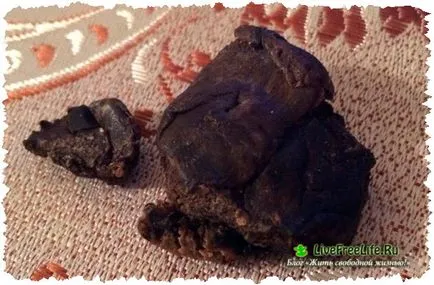 Cum și ce tratează propolis