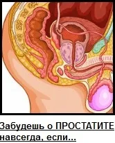Ceea ce este în partea inferioară a abdomenului Ceea ce este în partea inferioară a abdomenului