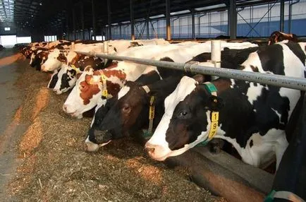 Extrudat hranei pentru animale este