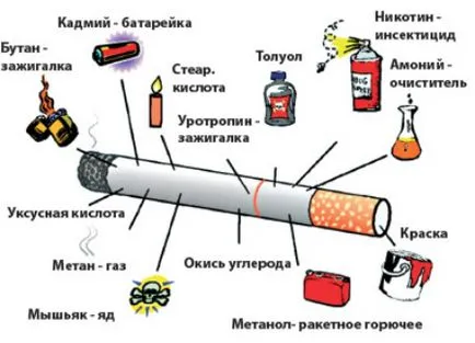 Ce este o expediție de probă
