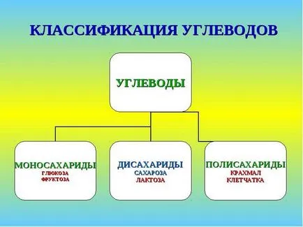 Dizaharide ce este