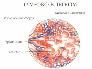 Ce este tuberculoma pulmonar Ce este tuberculoma pulmonar