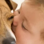 Decât pentru a trata diateza la sugari