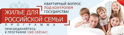 Buget electronic ce este